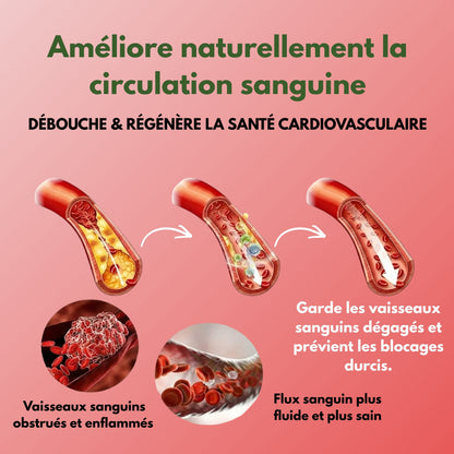 PYNKOLA clearena vitality